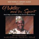 Of Water and the Spirit, Malidoma Patrice Some