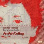 An Ash Ceiling Diary, Gerardo D'Orrico