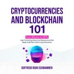 Cryptocurrencies and Blockchain 101, Goffredo Righi Schwammer