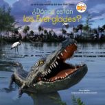 Donde estan los Everglades? Where A..., Nico Medina