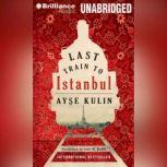 Last Train to Istanbul, Ayse Kulin
