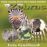 Zebras Photos and Fun Facts for Kids, Isis Gaillard
