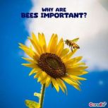 Why are Bees Important?, Minakshi Desai