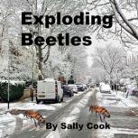 Exploding Beetles, Sally Cook