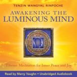 Awakening The Luminous Mind, Tenzin Wangyal Rinpoche