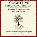 Cognitive Behavioral Therapy, David Lawson PhD