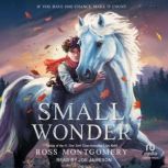 Small Wonder, Ross Montgomery