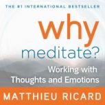 Why Meditate, Matthieu Ricard