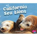 California Sea Lions, Megan Cooley Peterson