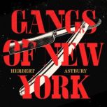 Gangs of New York, Herbert Asbury