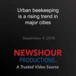 Urban beekeeping is a rising trend in..., PBS NewsHour