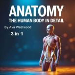 Anatomy, Ava Westwood