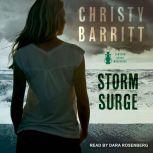Storm Surge, Christy Barritt