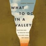 What to Do in a Valley, Jabin Chavez