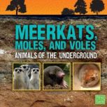 Meerkats, Moles, and Voles, Jody Rake