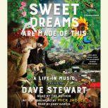 Sweet Dreams Are Made of This, Dave Stewart