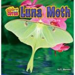 Luna Moth, E. Merwin