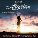 Law of Attraction The Meaning of Life and Attracting What You Want, Jenny Hashkins