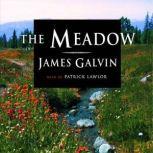 The Meadow, James Galvin