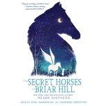 The Secret Horses of Briar Hill, Megan Shepherd