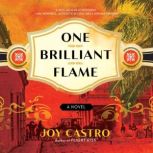 One Brilliant Flame, Joy Castro