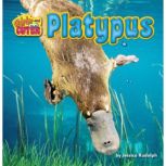 Platypus, Jessica Rudolph