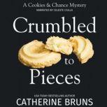 Crumbled to Pieces, Catherine Bruns