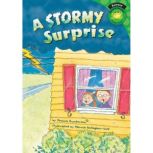 A Stormy Surprise, Jessica Gunderson