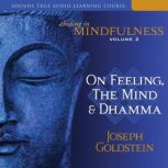 Abiding in Mindfulness, Volume 2, Joseph Goldstein