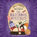 The Matchbox Mysteries, Sally Gardner