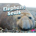 Elephant Seals, Megan Peterson