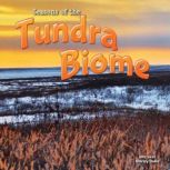 Seasons Of The Tundra Biome, Shirley Duke