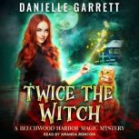 Twice the Witch, Danielle Garrett