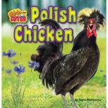 Polish Chicken, Joyce Markovics