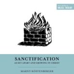 Sanctification as Set Apart and Growi..., Marny Kostenberger