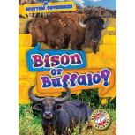 Bison or Buffalo?, Mari Schuh