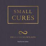 Small Cures, Della Hicks-Wilson