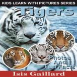 Tigers, Isis Gaillard