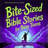 BiteSized Bible Stories For Busy Tee..., Kerry Anne Boer