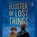 The Luster of Lost Things, Sophie Chen Keller