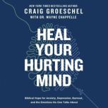 Heal Your Hurting Mind, Craig Groeschel