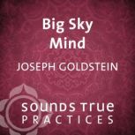 Big Sky Mind, Joseph Goldstein