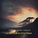A Traveller in Little Things, William Henry Hudson