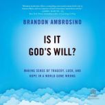 Is It Gods Will?, Brandon Ambrosino