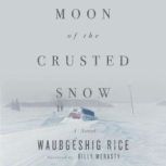Moon of the Crusted Snow, Waubgeshig Rice