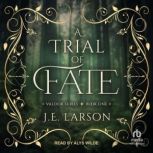 A Trial of Fate, J.E. Larson