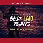 Best Laid Plans, Brick