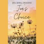 Deciding Destiny Joes Choice, Tamara Adams