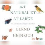 Naturalist at Large, A The Best Essays of Bernd Heinrich, Bernd Heinrich