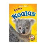 Baby Koalas, Megan BorgertSpaniol